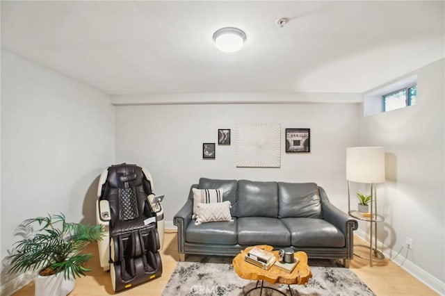 living room with light hardwood / wood-style flooring