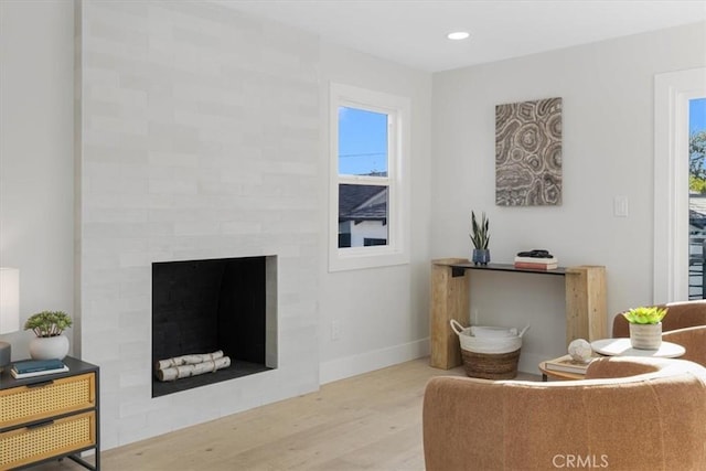 living room featuring light hardwood / wood-style flooring