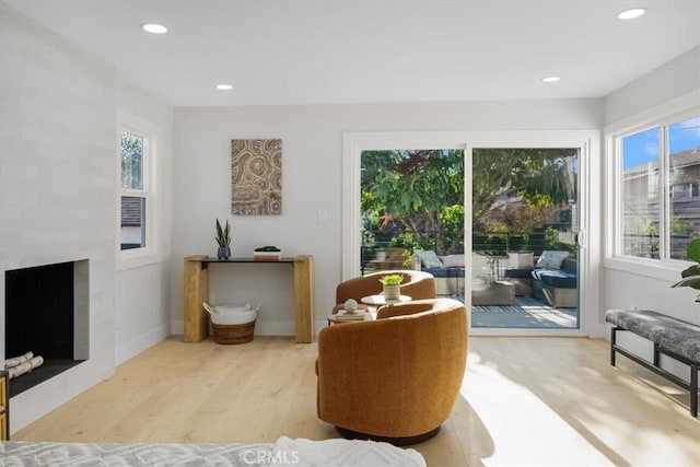 living area featuring light wood-type flooring and a wealth of natural light