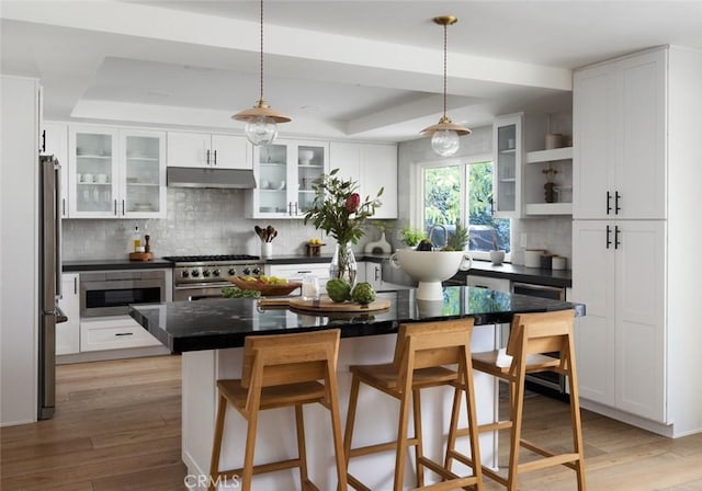 kitchen featuring a raised ceiling, tasteful backsplash, white cabinetry, a kitchen island, and stainless steel appliances