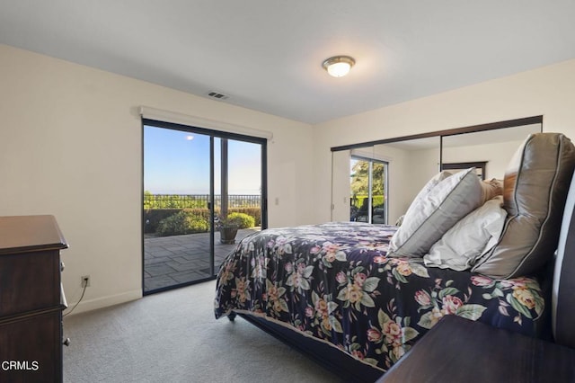 carpeted bedroom with access to exterior and a closet