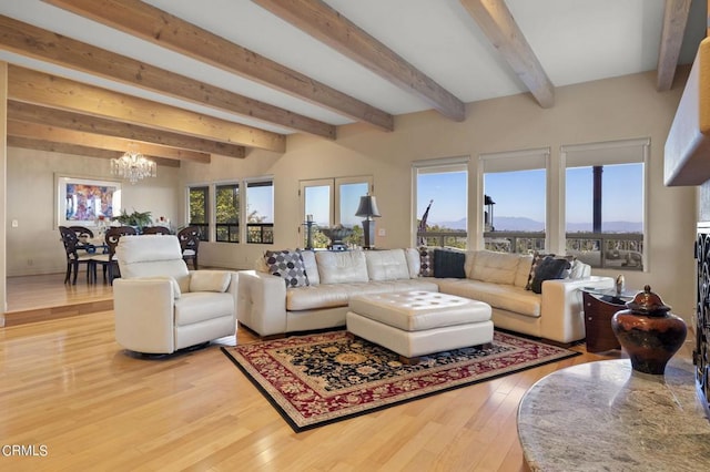 living room with beamed ceiling, hardwood / wood-style floors, and an inviting chandelier