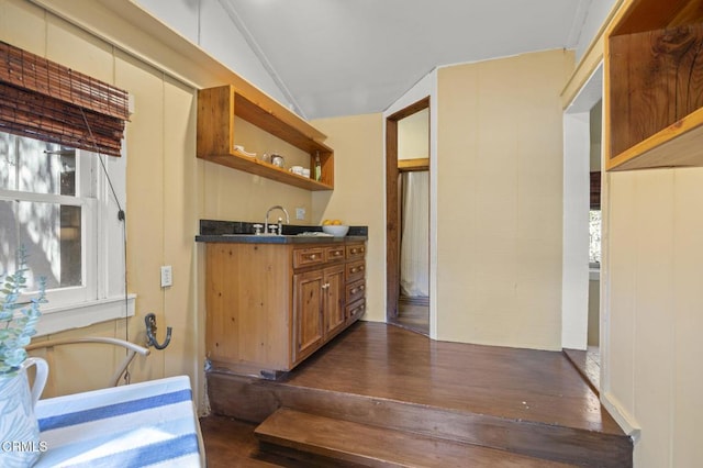 kitchen with lofted ceiling, dark hardwood / wood-style flooring, and sink