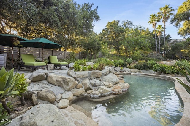 view of swimming pool