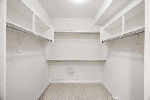 spacious closet with light carpet