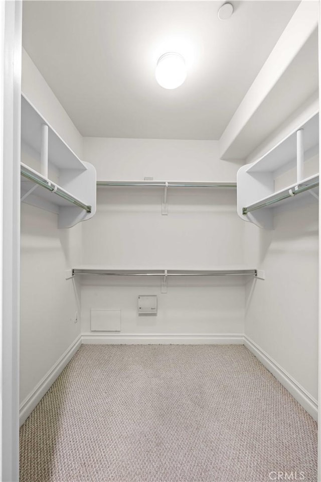 walk in closet with light carpet