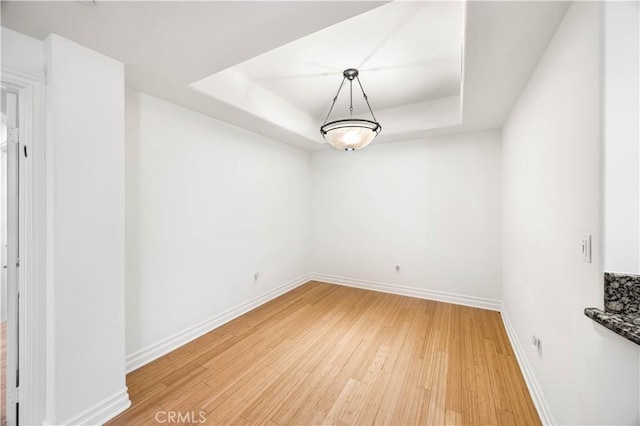 unfurnished room featuring a raised ceiling and hardwood / wood-style flooring