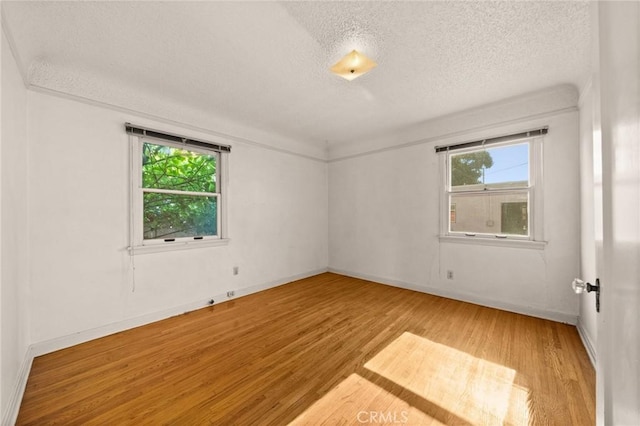 empty room featuring hardwood / wood-style floors and a textured ceiling