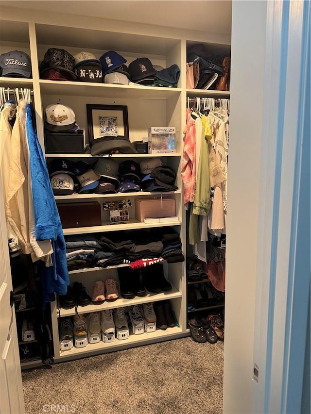 walk in closet featuring carpet floors