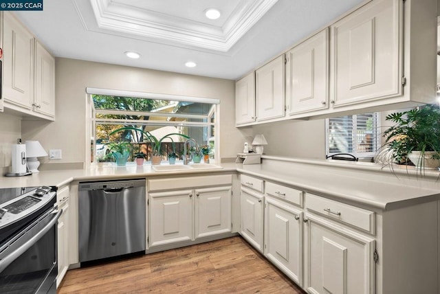 kitchen featuring white cabinetry, a tray ceiling, stainless steel appliances, and crown molding