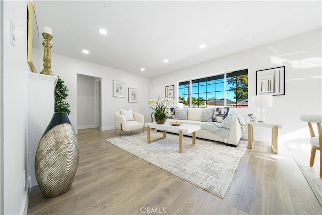 living room with light hardwood / wood-style floors