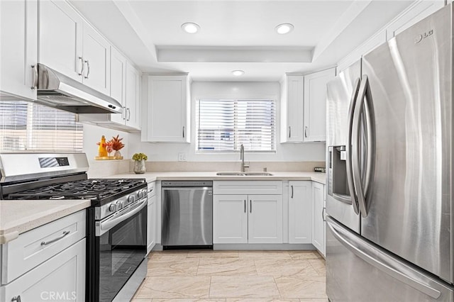 kitchen with appliances with stainless steel finishes, a tray ceiling, white cabinetry, and sink