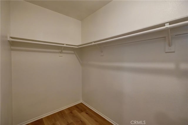 walk in closet featuring hardwood / wood-style flooring