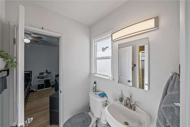 bathroom with hardwood / wood-style floors, ceiling fan, toilet, and sink