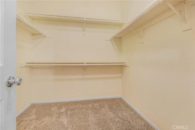 walk in closet with light carpet