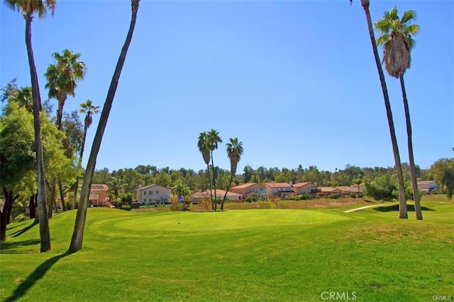 view of property's community with a lawn