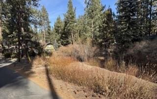 Listing photo 3 for 0 S Saw Mill Dr, Big Bear City CA 92314