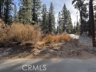 Listing photo 2 for 0 S Saw Mill Dr, Big Bear City CA 92314