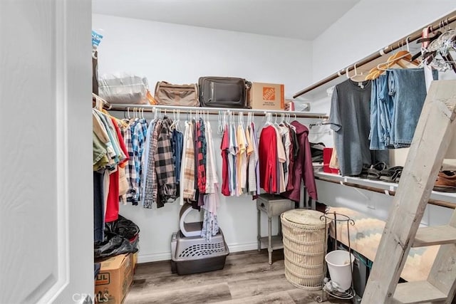 spacious closet featuring hardwood / wood-style floors