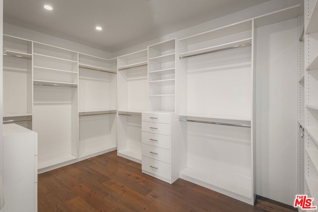 walk in closet featuring dark hardwood / wood-style floors