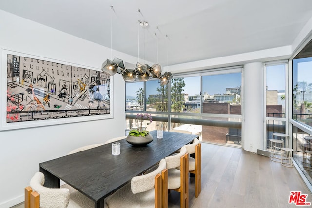 dining room featuring floor to ceiling windows and hardwood / wood-style flooring