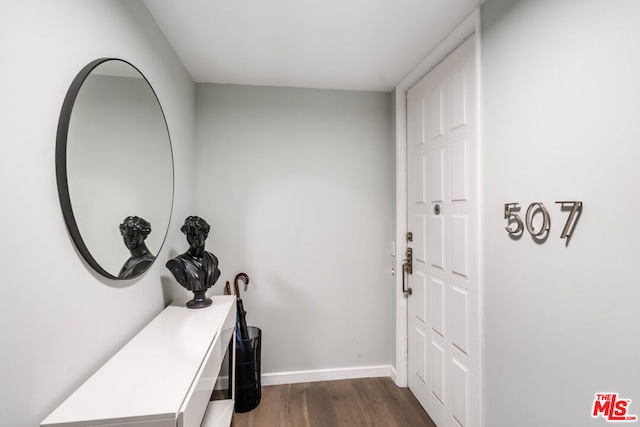 entryway with dark hardwood / wood-style flooring