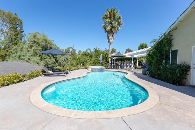 view of swimming pool featuring a patio area