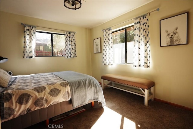 carpeted bedroom with multiple windows