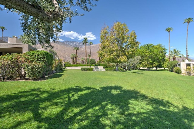 view of yard featuring a mountain view