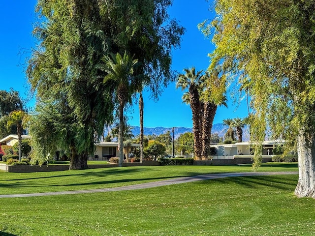 surrounding community with a mountain view and a lawn