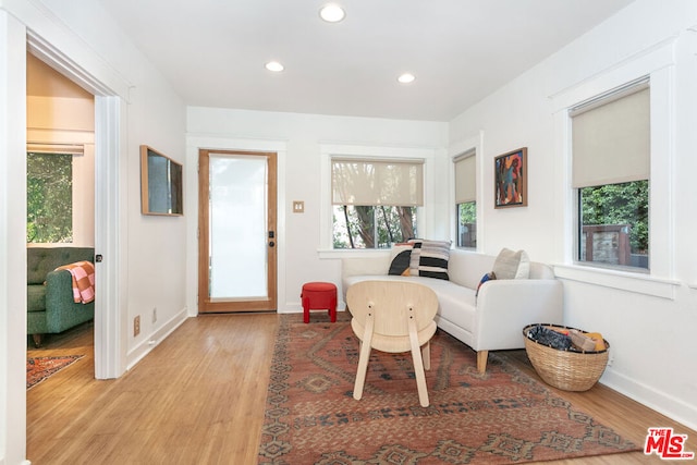 living room with light wood-type flooring