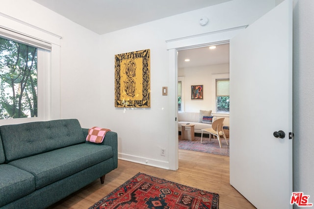 living area with wood-type flooring and a wealth of natural light