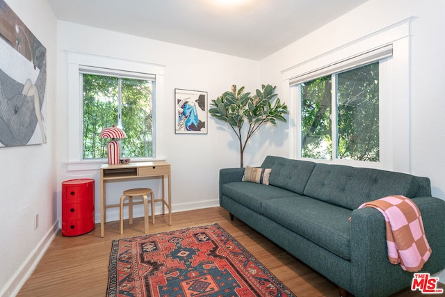 living room with wood-type flooring