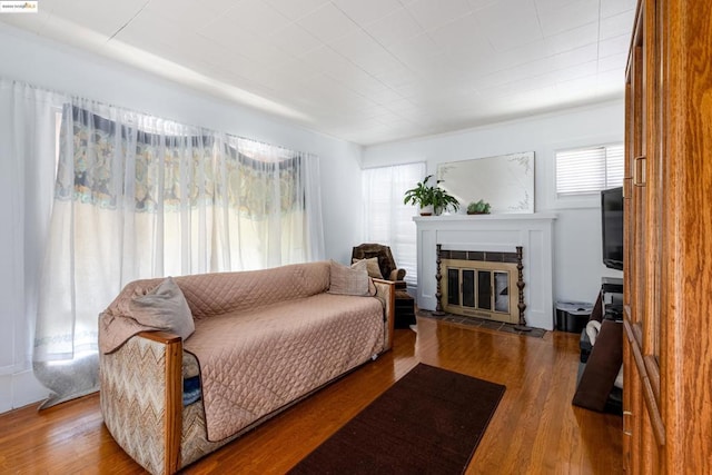 living room featuring a fireplace and wood-type flooring