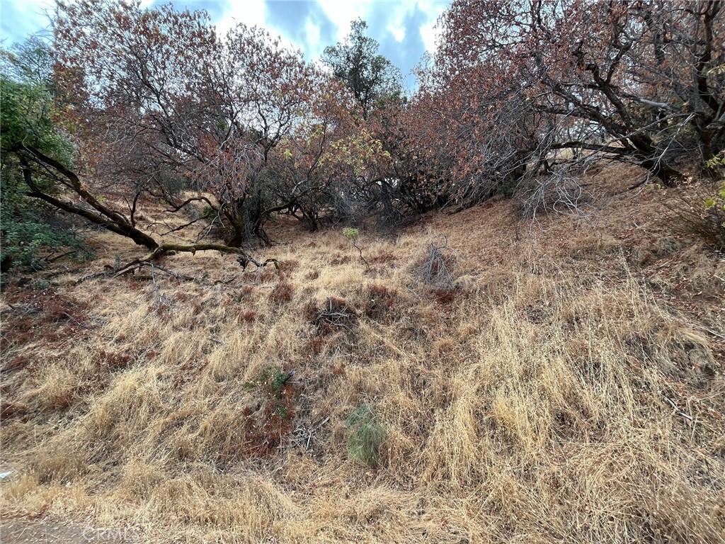 11425 N Dr, Clearlake, CA 95422 - photo 1