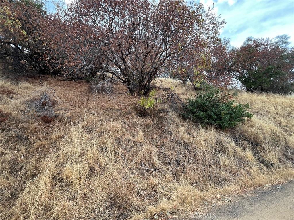 11425 N Dr, Clearlake, CA 95422 - photo 2