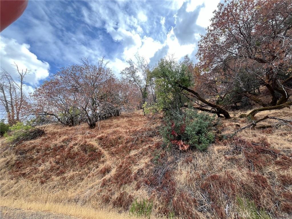 11425 N Dr, Clearlake, CA 95422 - photo 3