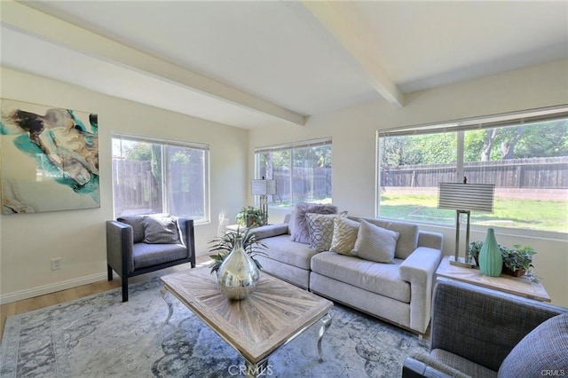 living room featuring beam ceiling and hardwood / wood-style flooring