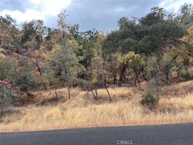 11285 N Dr, Clearlake, CA 95422 - photo 3