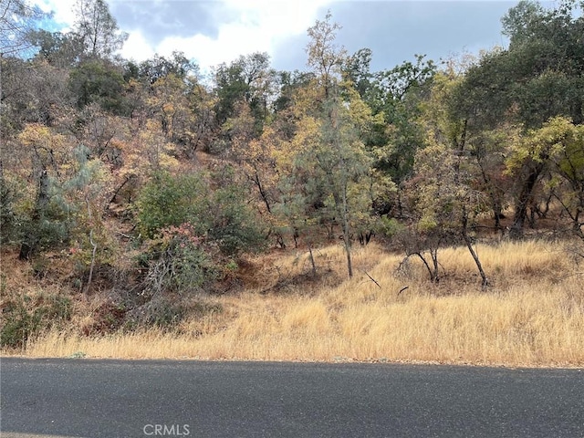 11285 N Dr, Clearlake, CA 95422 - photo 2