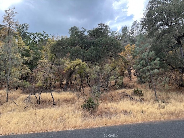 11285 N Dr, Clearlake, CA 95422 - photo 4