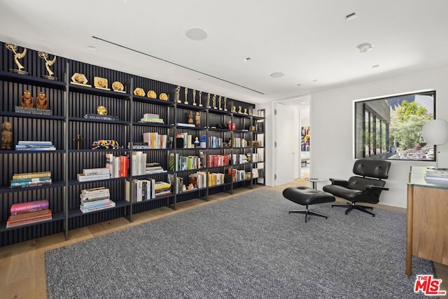 living area featuring wood-type flooring