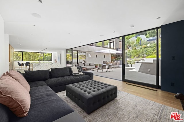 living room with light hardwood / wood-style floors