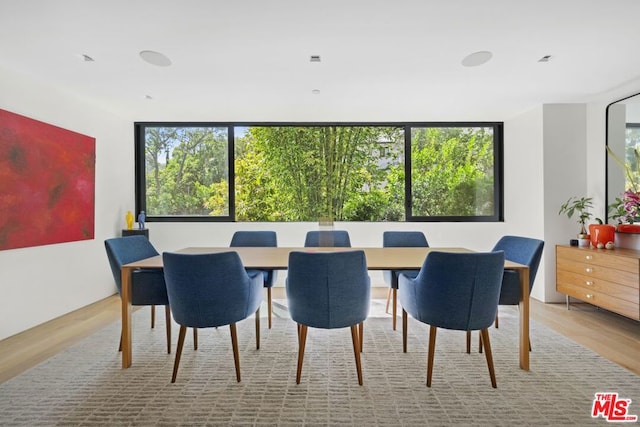 dining room featuring hardwood / wood-style floors