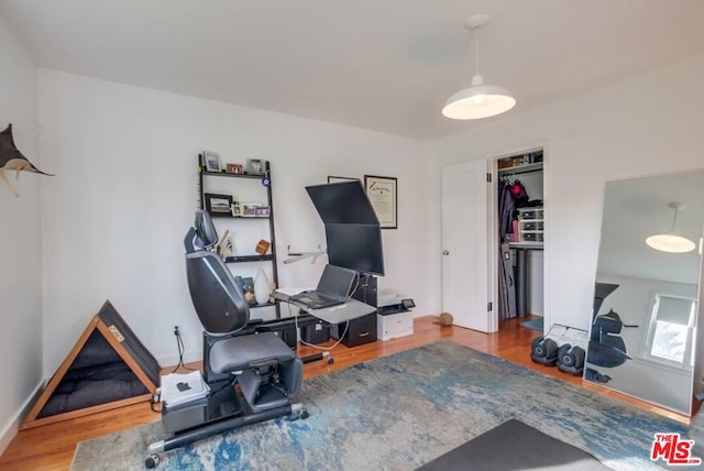 exercise room with hardwood / wood-style flooring