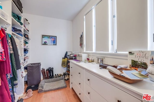 walk in closet featuring light wood-type flooring