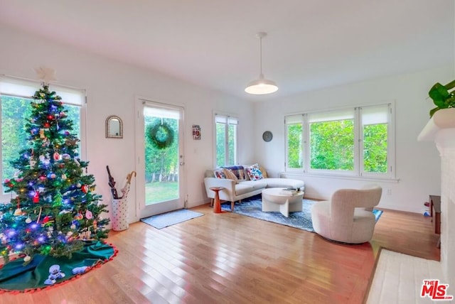 living room with light hardwood / wood-style floors and a healthy amount of sunlight