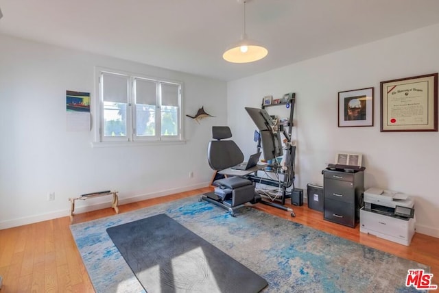 workout room featuring hardwood / wood-style floors