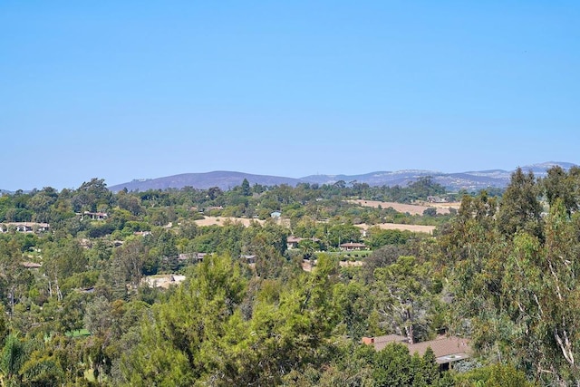 view of mountain feature