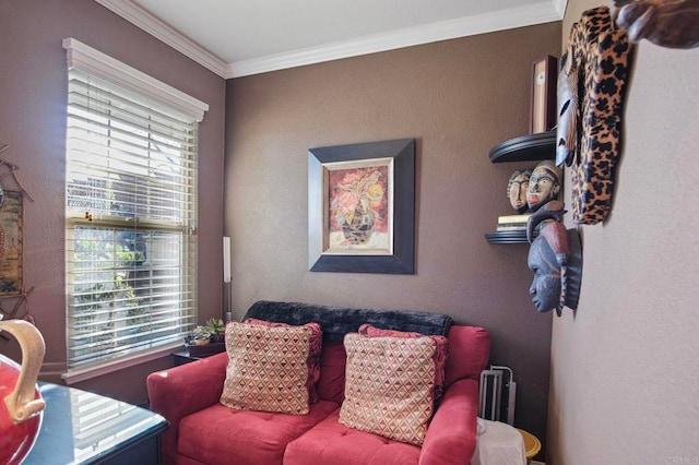 living room with radiator heating unit, a wealth of natural light, and ornamental molding